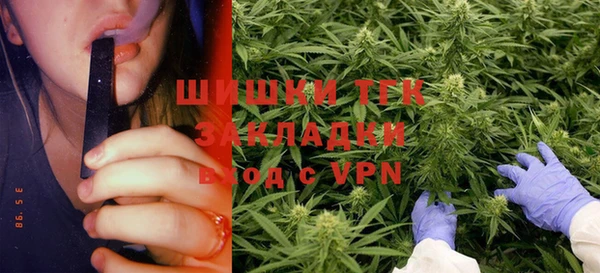дурь Алзамай