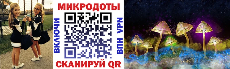 Купить где  Куса  Галлюциногенные грибы Psilocybe 